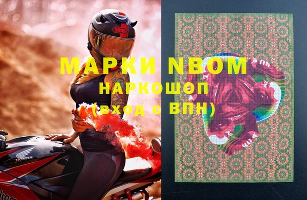 твердый Протвино