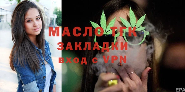 твердый Протвино