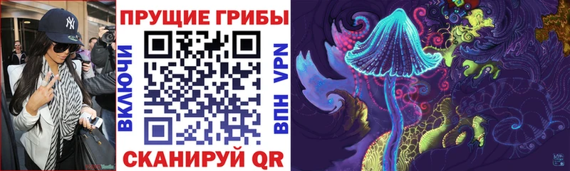 как найти закладки Барыш Галлюциногенные грибы Cubensis